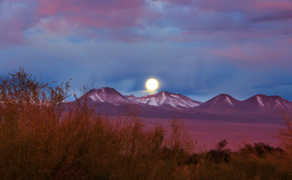 Desert Mountains