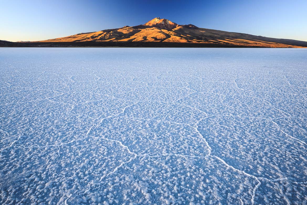 Desert Hamadas and Steppes