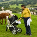 …while the alpacas checked out Jennifer and little Eric