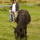 At Dartmoor