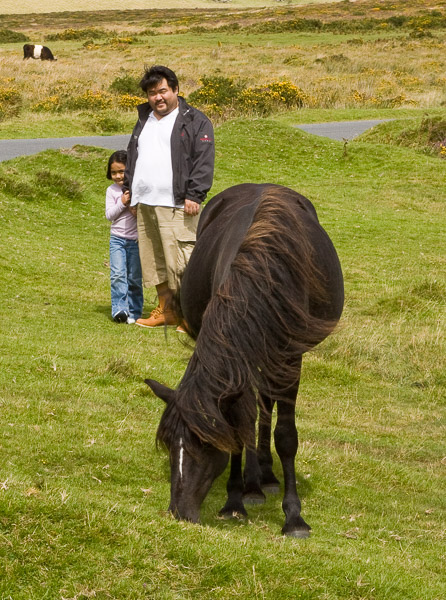 At Dartmoor