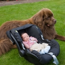 Chucky guarding Eric, now a month old