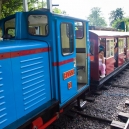 Mikee and I took a miniature train around the grounds of Longleat