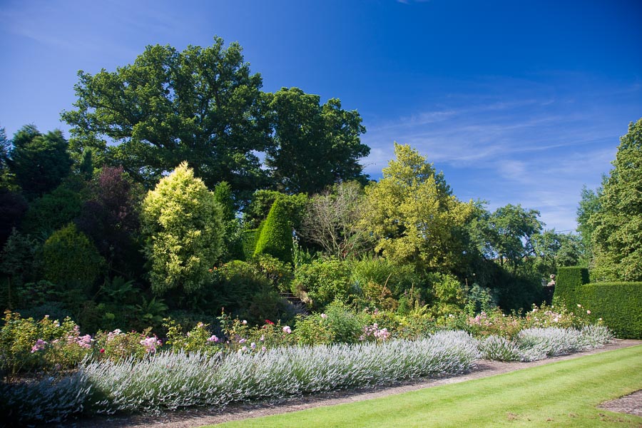 The Rose Garden at Knightstone