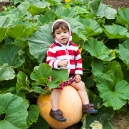 Eric on a pumpkin in the vegetable garden