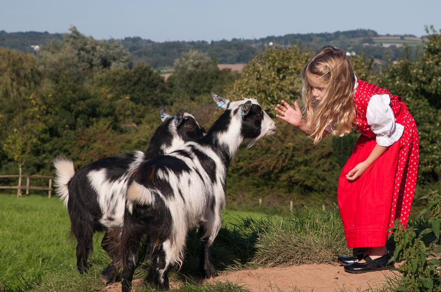 Letizia with Christmas Cracker And Christmas Dinner