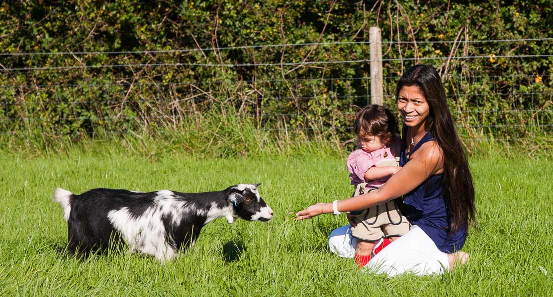 Eric isn’t quite sure of the baby goat.