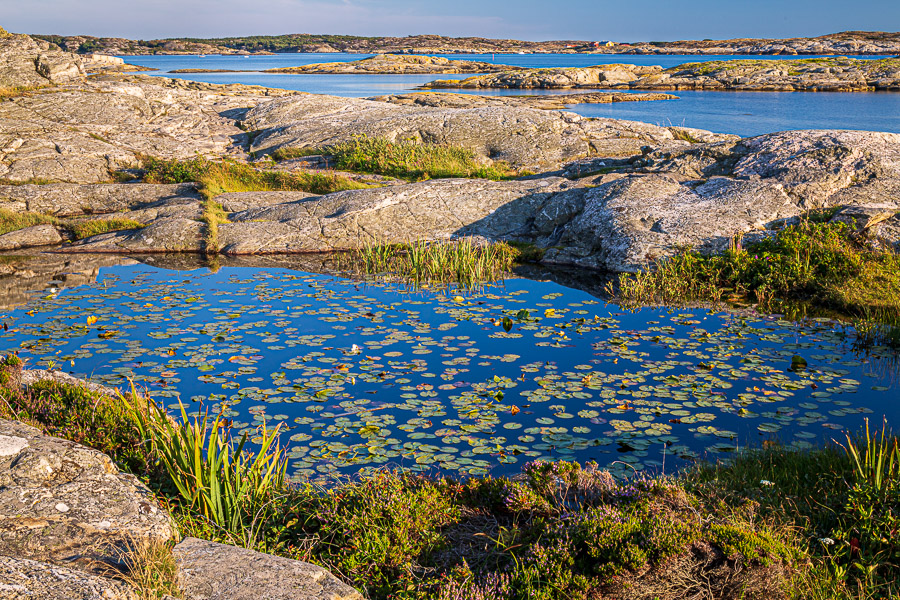 Swedish West Coast
